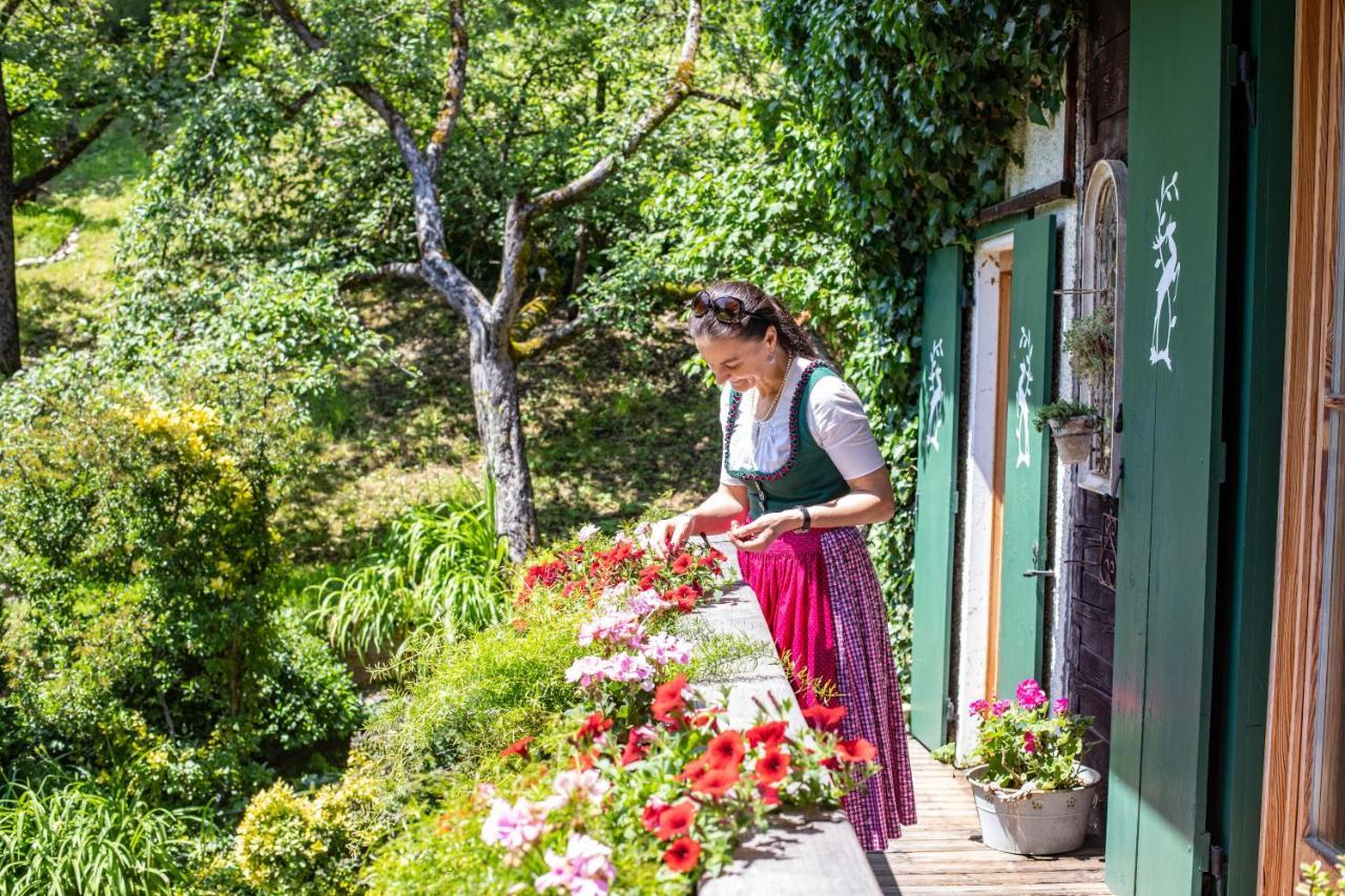 Haus Weidmannsheil - Wohnen Im Romantischen Forsthaus Werfen Exterior foto